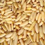 nutritious pine nuts without shell