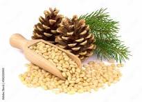 nutritious pine nuts without shell